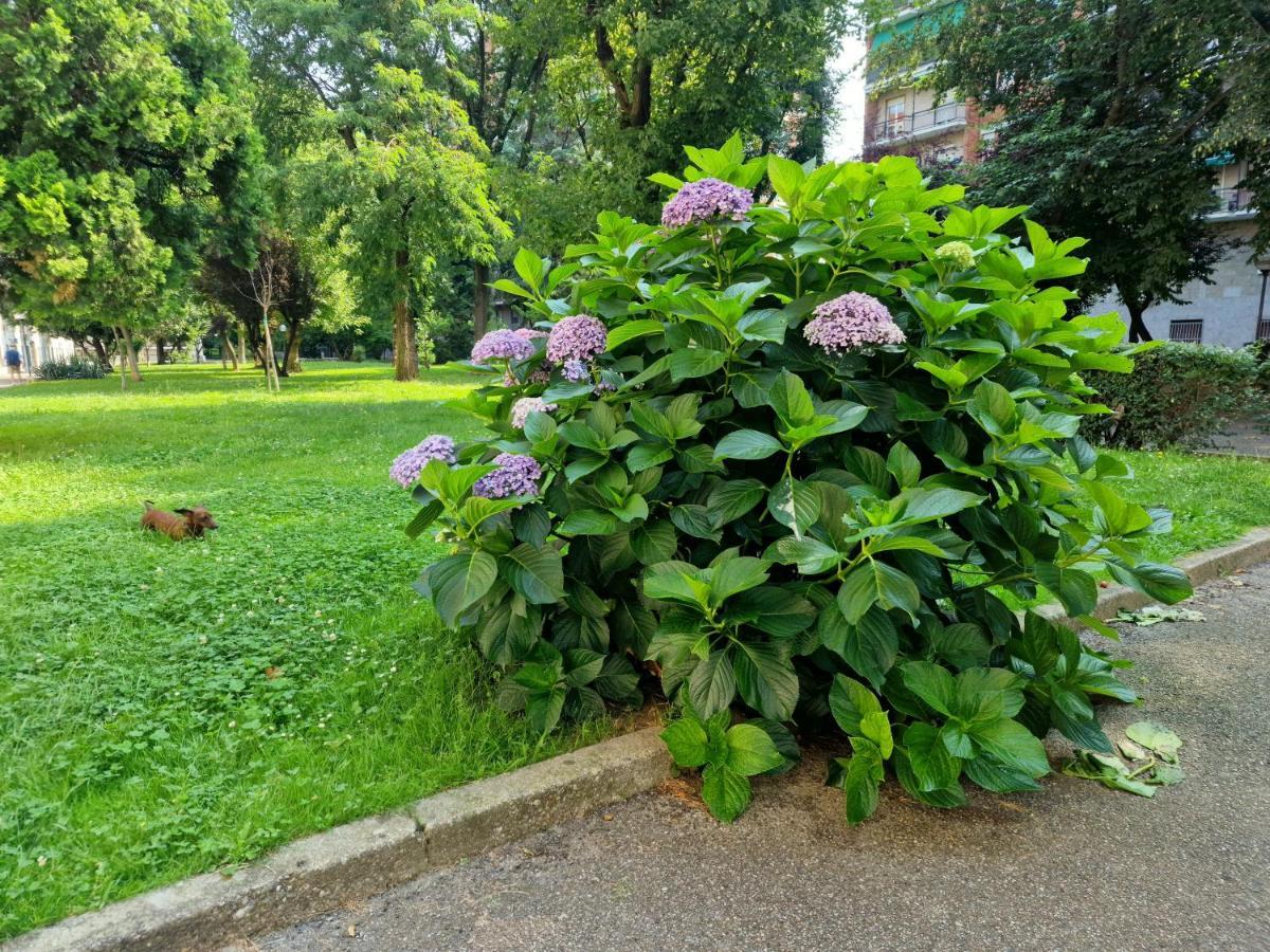 شقة Giardino Sul Naviglio ميلان المظهر الخارجي الصورة